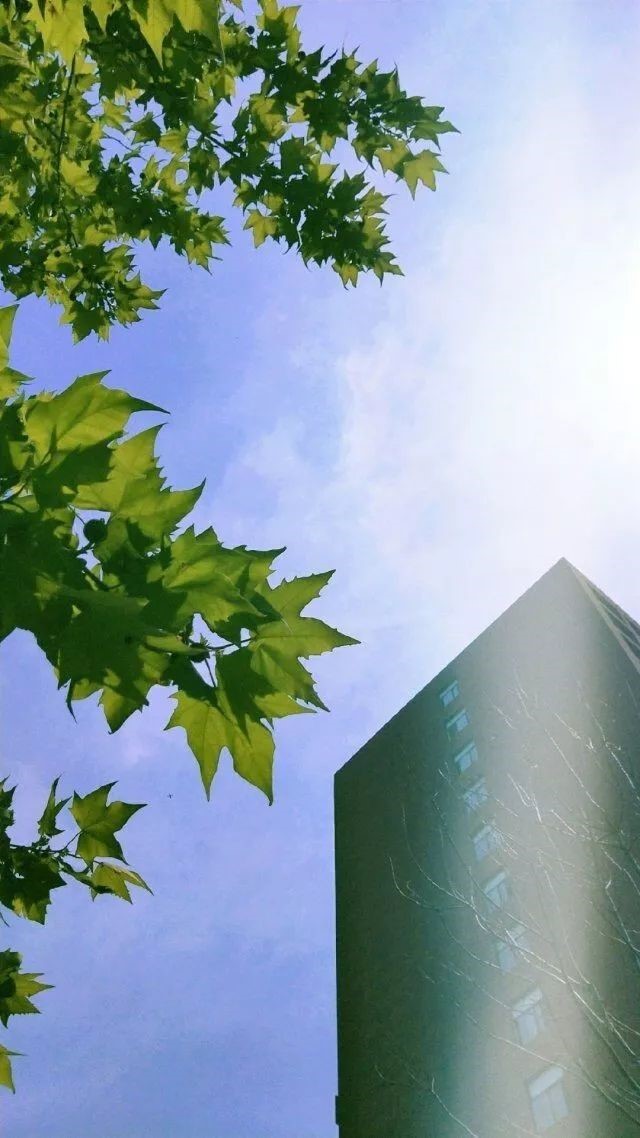 168061035157283.jpg 168061035157283.jpg