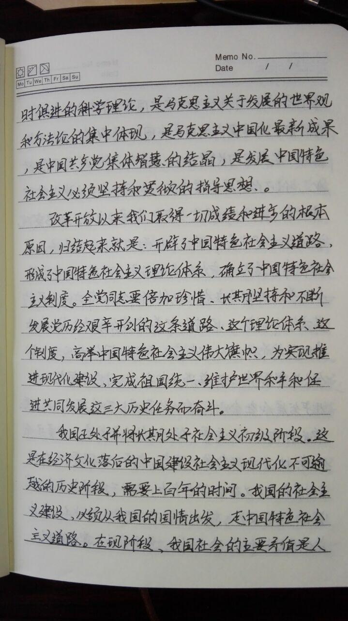 陈洪岩党章笔记