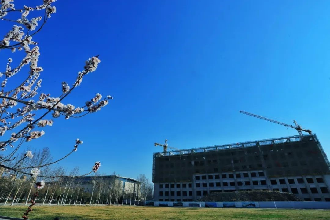 168061038938161.jpg 168061038938161.jpg