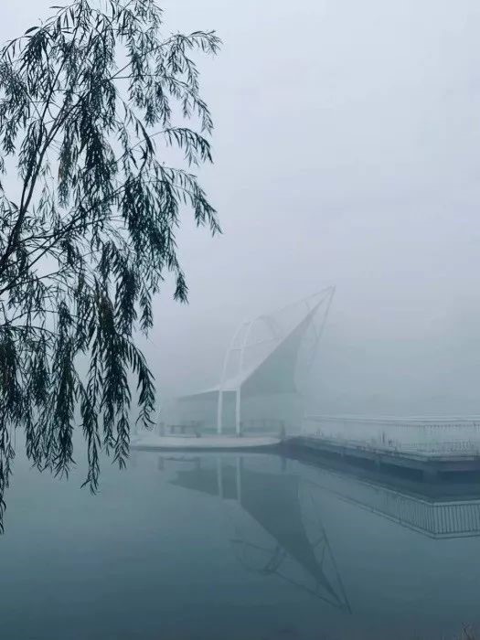 16806151403459.jpg 16806151403459.jpg