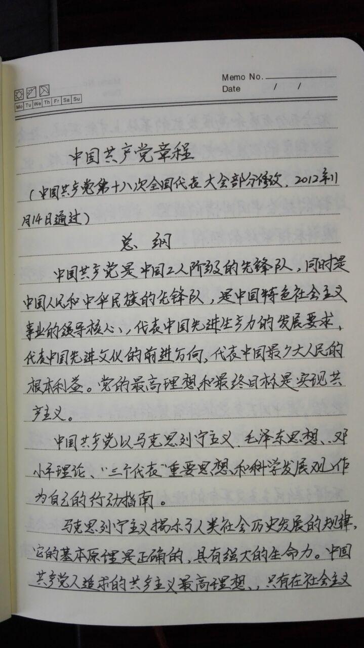 陈洪岩党章笔记