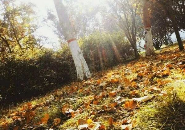 168061494252475.png 图片3.png