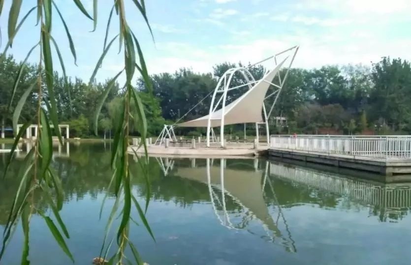 168061517711279.jpg 168061517711279.jpg