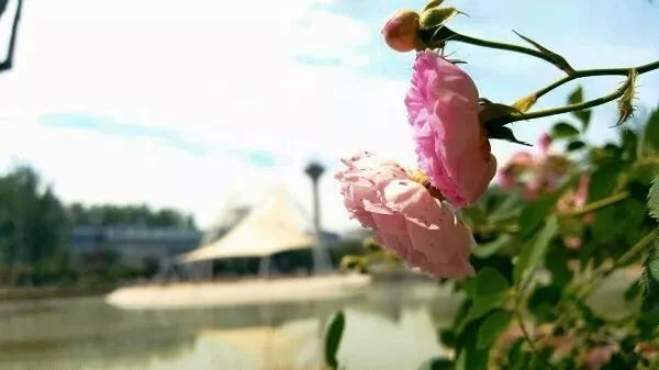 168061512131256.png 168061512131256.png