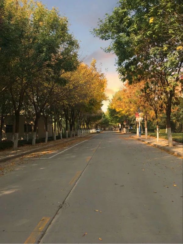 168061504736507.png 168061504736507.png